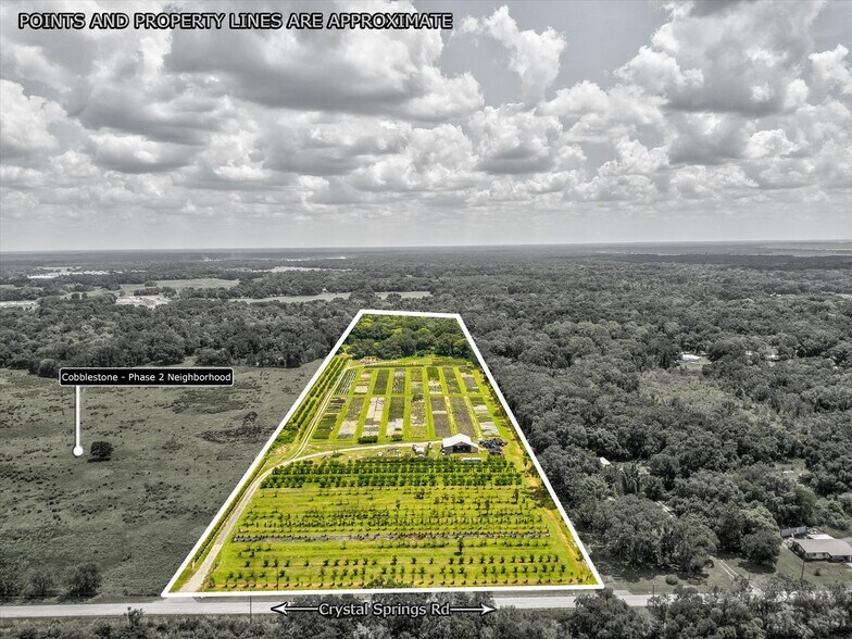 More Photos Of 2816 Crystal Springs Rd, Zephyrhills Winery Vineyard For Sale