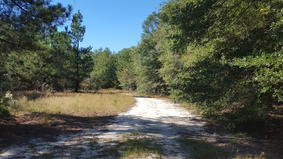 More Photos Of 0 Silver Bluff Rd, Aiken Land For Sale