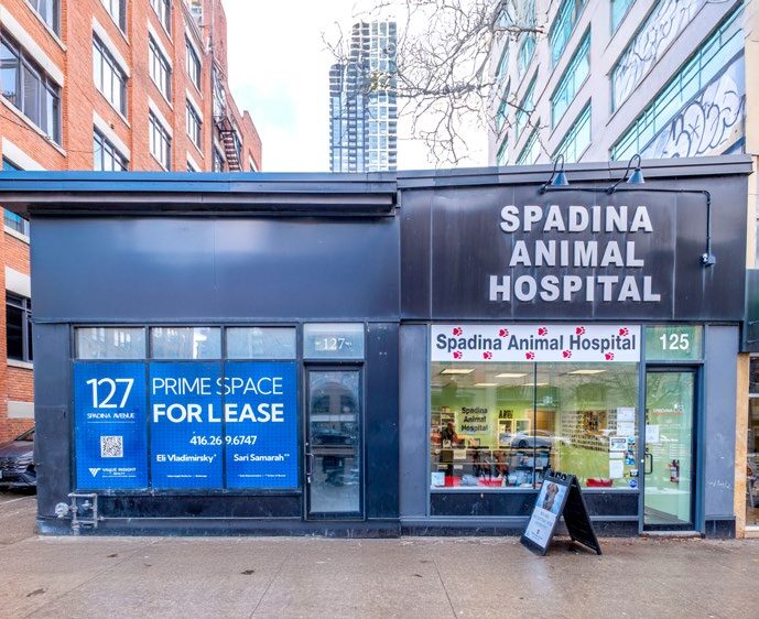 More Photos Of 125-127 Spadina Ave, Toronto Storefront Retail Office For Lease