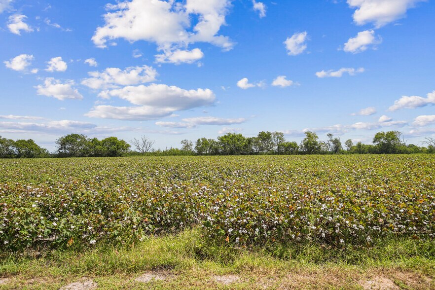 More Photos Of 8433 Fairchild Rd, Richmond Land For Sale