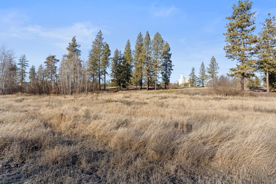 More Photos Of 233 Alki St, Cheney Land For Sale