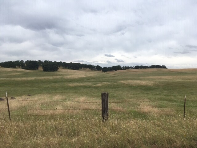 More Photos Of 0 0 Cox Lane (733 Acres) Ln, Oroville Land For Sale