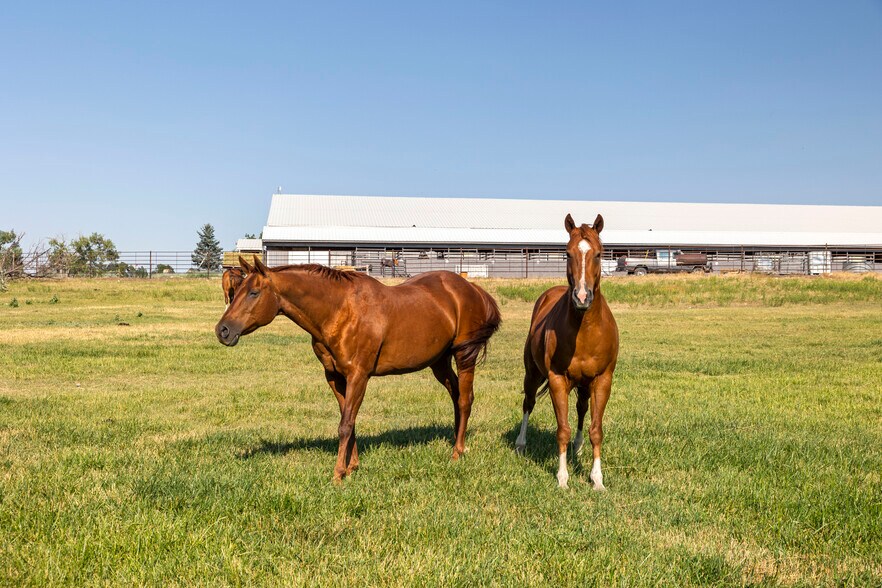 More Photos Of 210 Sybille Creek Rd, Wheatland Horse Stables For Sale