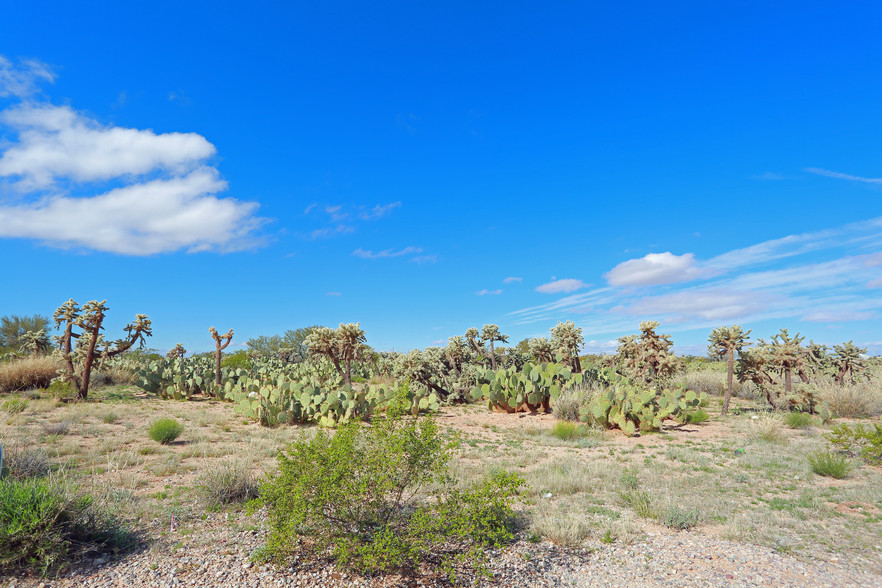 Primary Photo Of 7850 E Valencia Rd, Tucson Land For Lease