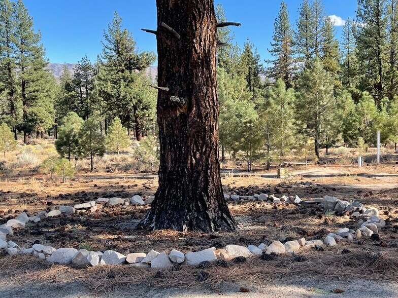 More Photos Of 415-025 Scott Rd, Doyle Land For Sale