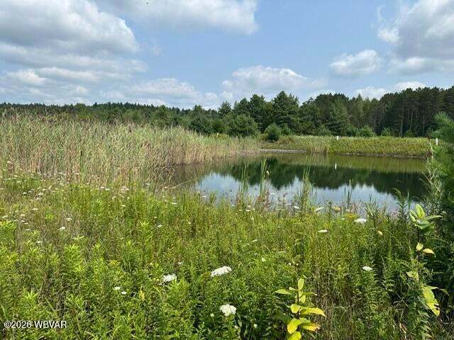 More Photos Of Beech Creek Mountain Rd, Beech Creek Land For Sale