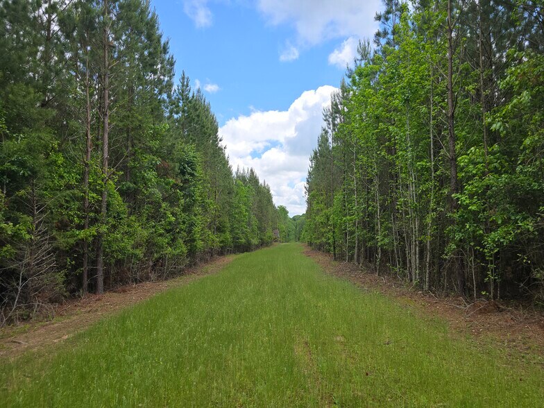 More Photos Of Davis Lake Rd @ Old Talbotton Rd, Thomaston Land For Sale