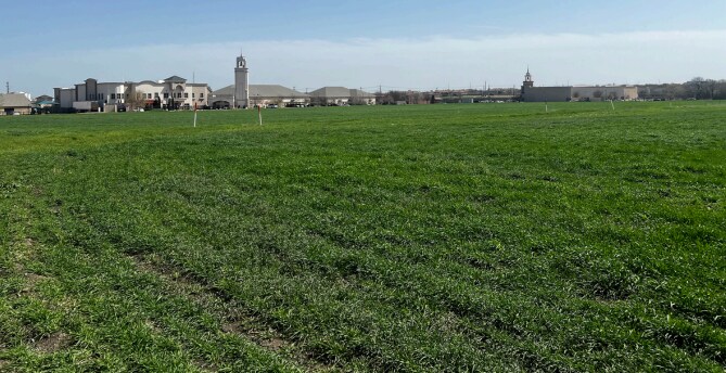 Primary Photo Of Lebanon (County Road 68), Frisco Land For Sale