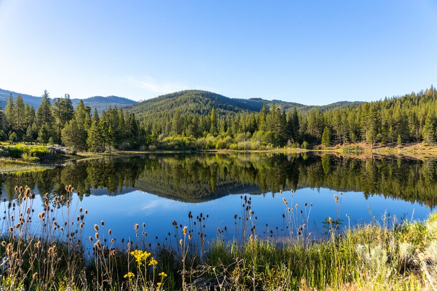 More Photos Of 6726 Gazelle Callahan Rd, Gazelle Land For Sale