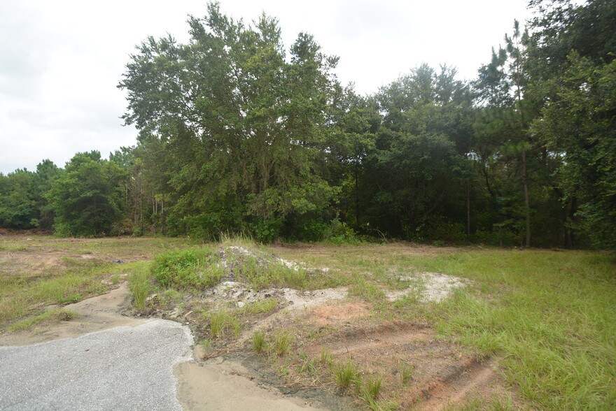 More Photos Of Lewis Grove Rd, Groveland Land For Sale