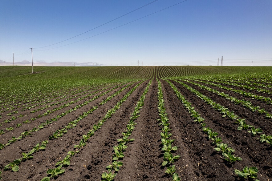 More Photos Of 120 San Jon Rd, Salinas Land For Sale
