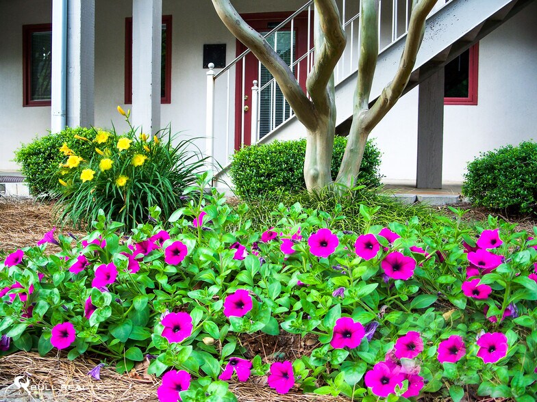 More Photos Of 200 Market Pl, Roswell Office Residential For Lease