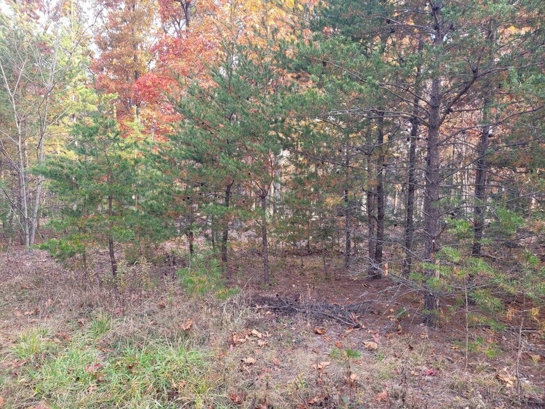 More Photos Of Lot 26 Cabin Run -1, Bloomery Land For Sale