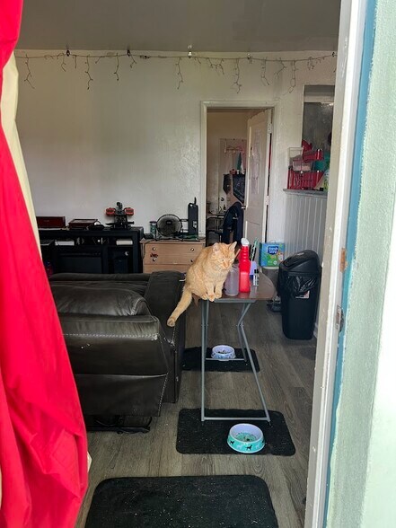 More Photos Of 705-713 NE 3rd St, Hallandale Beach Apartments For Sale