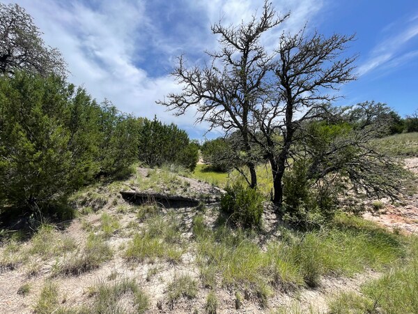 More Photos Of 221 W Rolling Oaks Dr, Goldthwaite Land For Sale