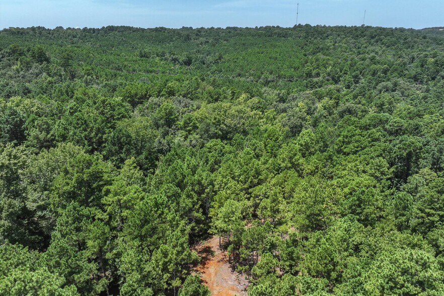 More Photos Of Tract 2 County Road 4102, Jacksonville Land For Sale