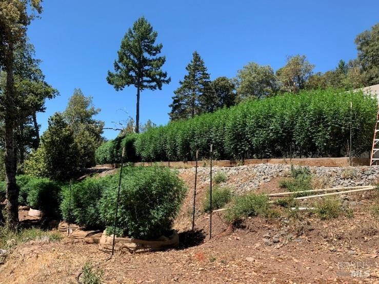 More Photos Of 37600 US-101, Laytonville Land For Sale