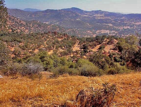 More Photos Of 38176 Cardinal, Yokuts Valley Land For Sale