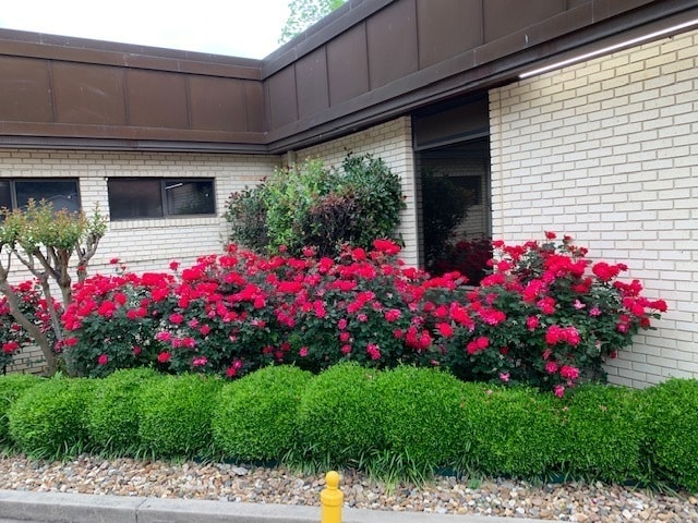 More Photos Of 1519 E Front St, Tyler Medical For Sale