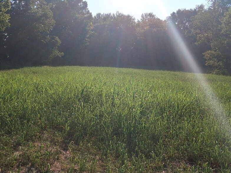 More Photos Of 12229 Hammer Rd, Neosho Land For Sale