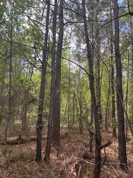 More Photos Of 0 New Bethel Church Rd, Fitzgerald Land For Sale