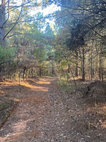 More Photos Of 000 Meadow View Ln, Flint Land For Sale