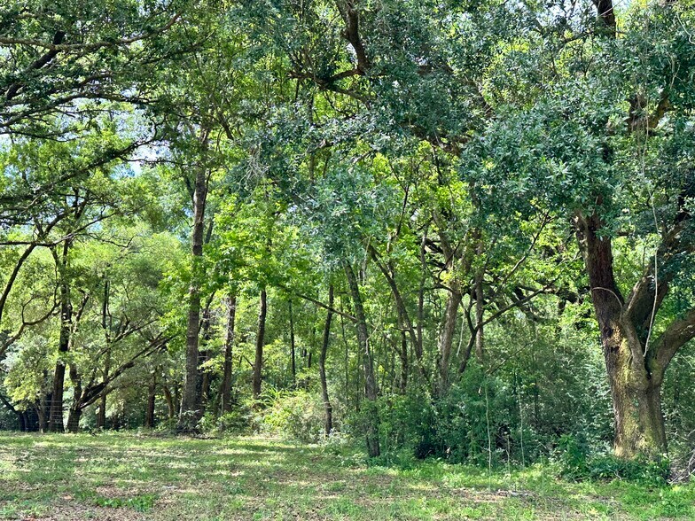 More Photos Of 0 Wilmer, Wilmer Land For Sale