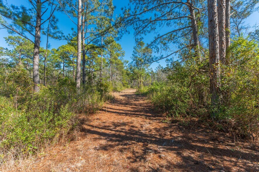 More Photos Of Hwy 331 S & Jolly Bay Road, Freeport Land For Sale