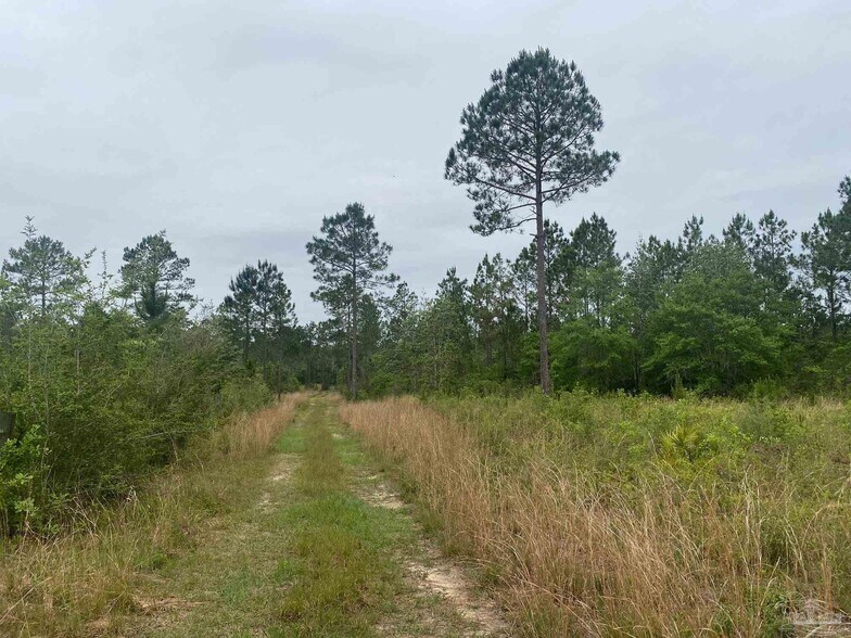 More Photos Of Walther Rd, Milton Land For Sale