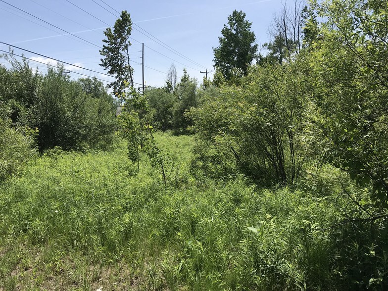 Primary Photo Of CASS Rd @ Miller Creek, Traverse City Land For Sale