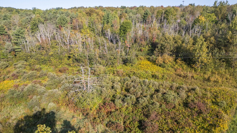 More Photos Of 219 Mudge rd, Delanson Land For Sale