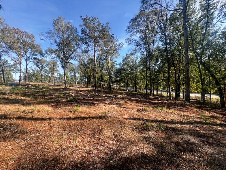 More Photos Of 0 Highway 198, Lucedale Land For Sale