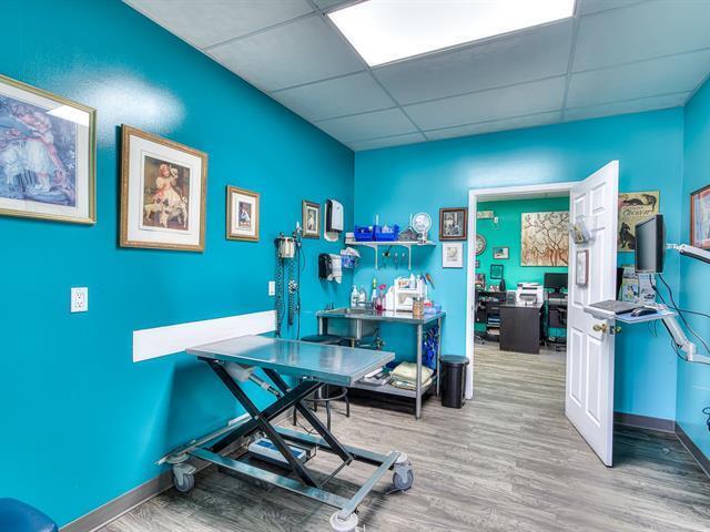 More Photos Of 20 Rue Mill, Howick Veterinarian Kennel For Sale