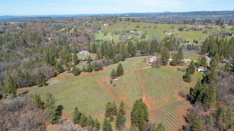 More Photos Of 4771 Greenhills Rd, Placerville Winery Vineyard For Sale