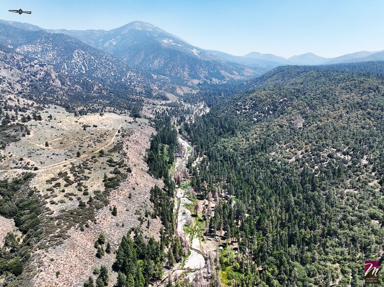 More Photos Of 42193 Seven Oaks Road, Angelus Oaks Specialty For Sale