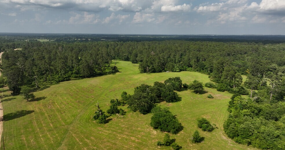 More Photos Of 2268 FM 1486, Montgomery Land For Sale