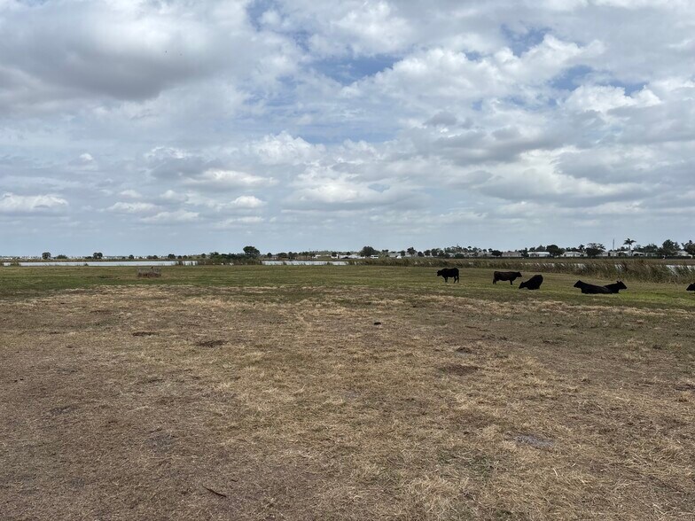 More Photos Of 27100 Jones Loop Rd, Punta Gorda Land For Sale