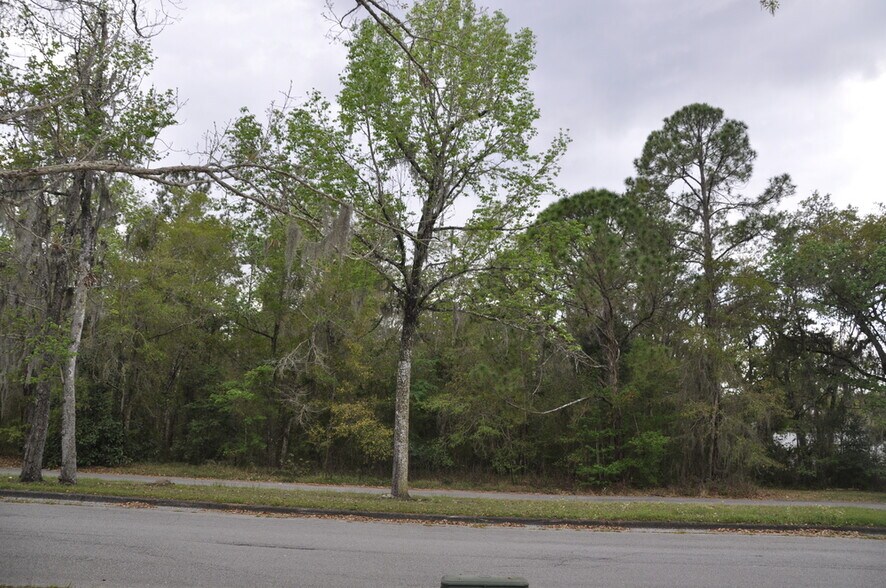 More Photos Of 965 Candlelight Blvd, Brooksville Land For Sale