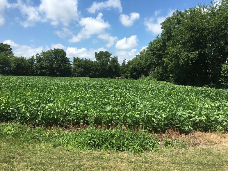 More Photos Of 901 N Bridge St, Yorkville Land For Sale