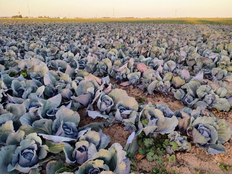 More Photos Of E SEC E Gillett St & Cannon Rd, El Centro Land For Sale