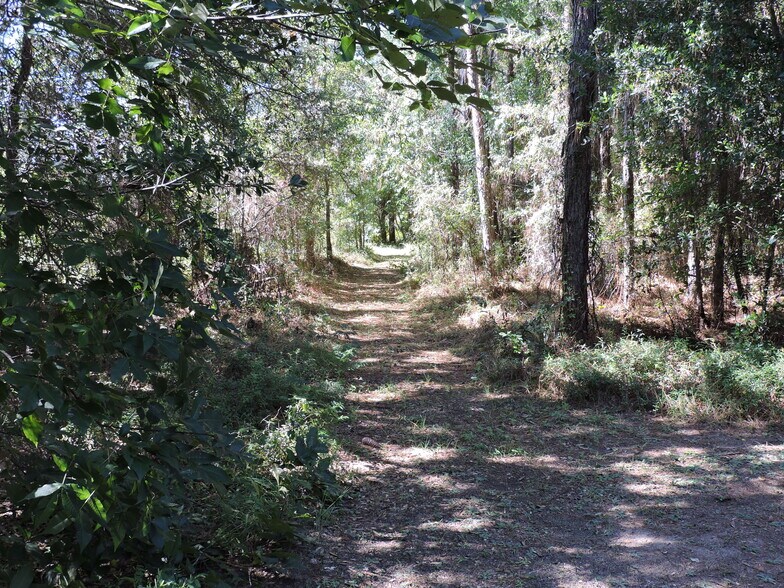 More Photos Of 2935 New Berlin Rd, Jacksonville Land For Sale