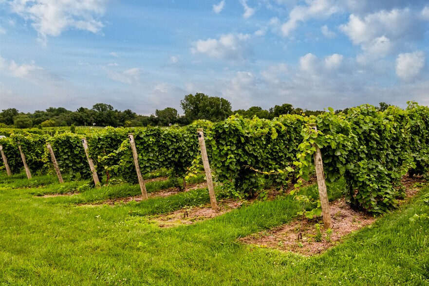 More Photos Of 10220 Lauer Rd, Baroda Winery Vineyard For Sale