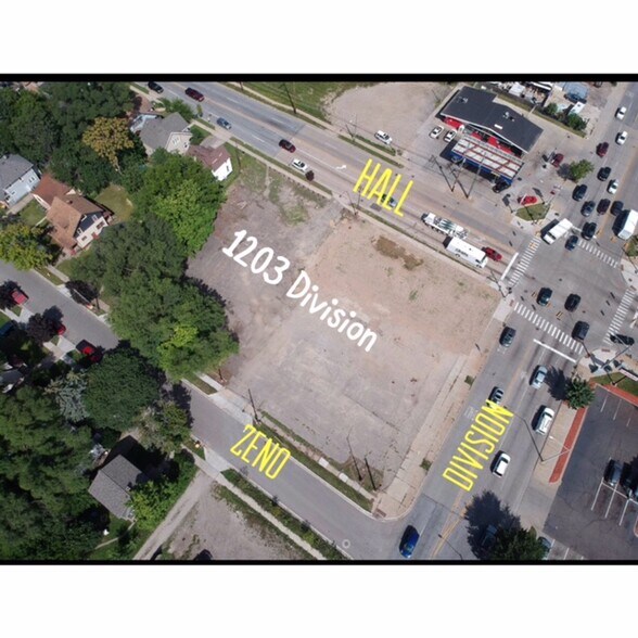 More Photos Of 1203 Division, Grand Rapids Land For Sale