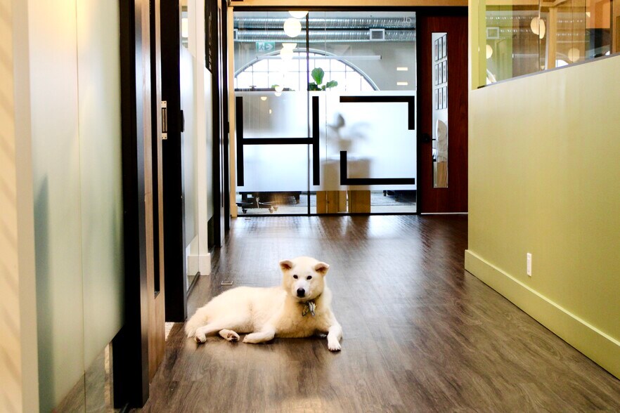 More Photos Of 2031-2051 Store St, Victoria Coworking Space