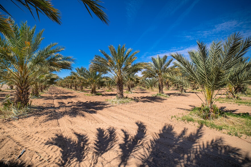 More Photos Of 17587 S Ave 3 1/2 E, Yuma Land For Sale