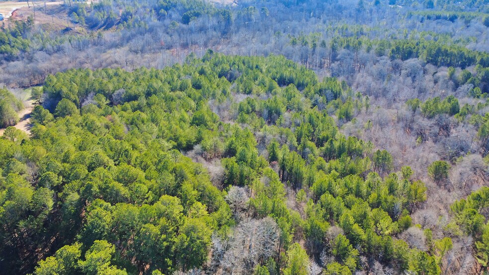 More Photos Of 277 Bethel Church Rd SE, Silver Creek Land For Sale