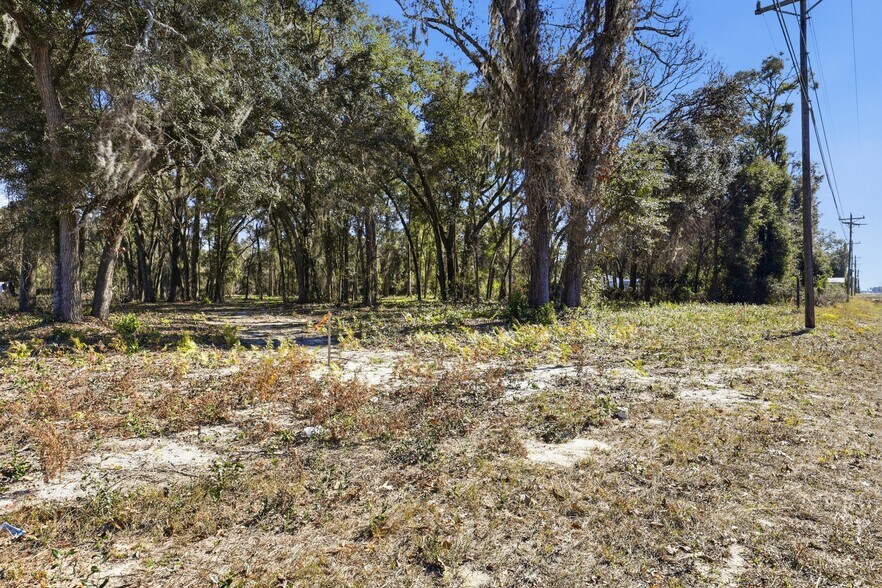More Photos Of US 19 N Highway, Fanning Springs Land For Sale