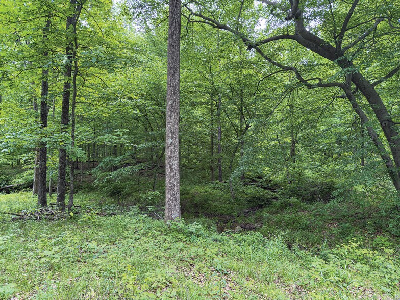 More Photos Of 2475 W County Road 1050 S, Cloverdale Land For Sale