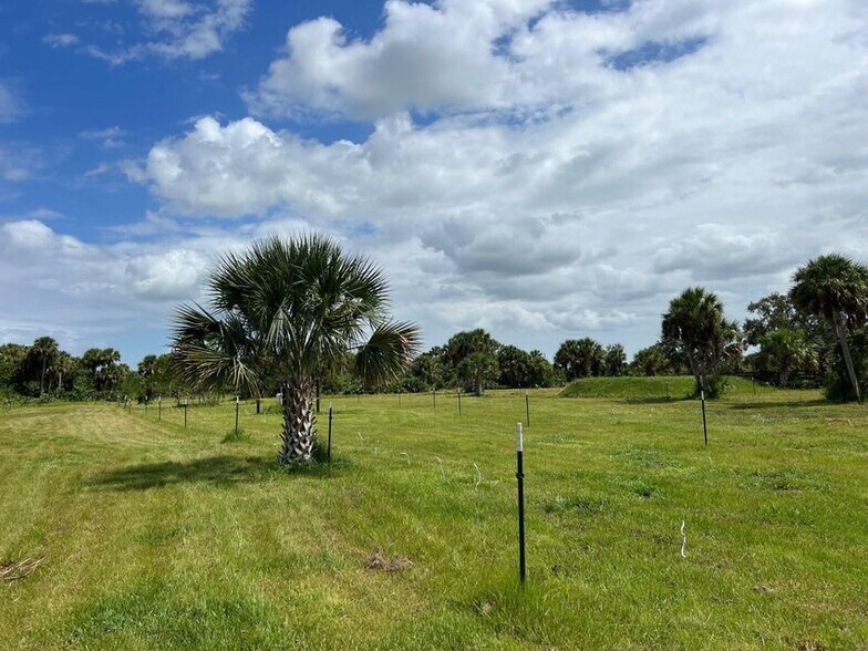 More Photos Of 1303 Cabbage Ln, Okeechobee Land For Sale
