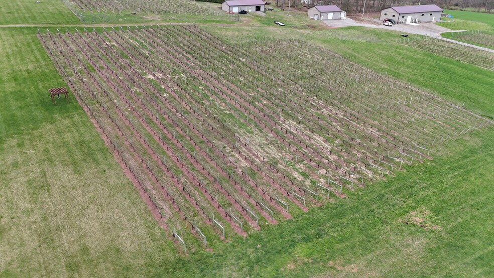 More Photos Of 596 Harman Rd, Halifax Winery Vineyard For Sale